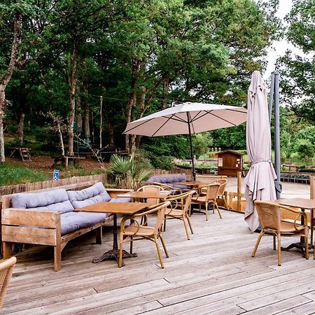 La Maison Du Gasseau Saint-Léonard-des-Bois エクステリア 写真